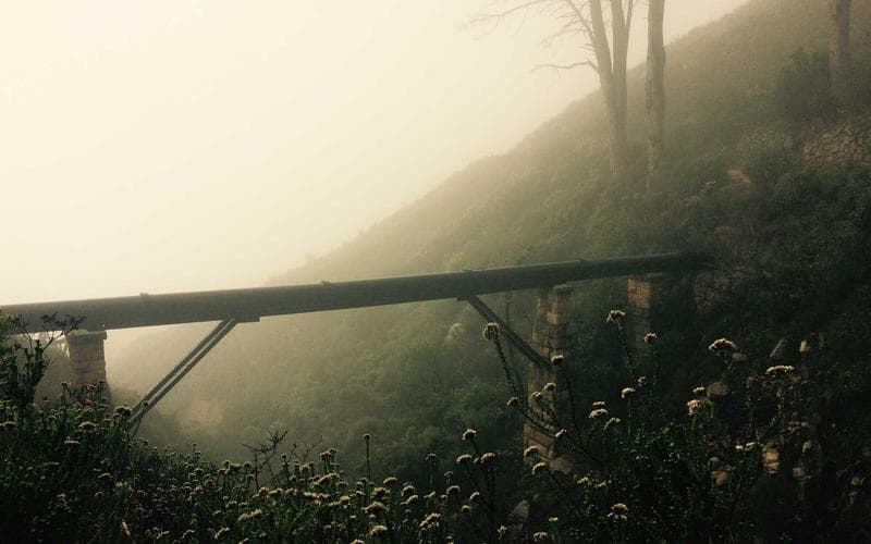 5 Ways to Maximize Your Meta Ads ROI